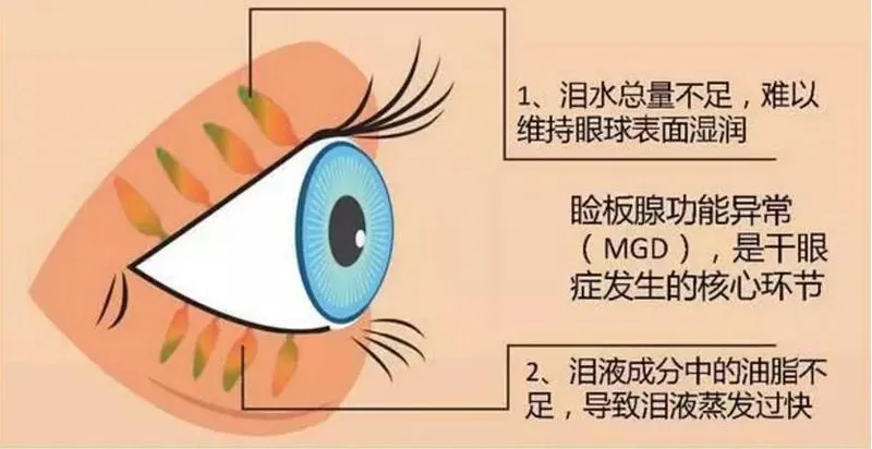 微信图片_20250711100908.png
