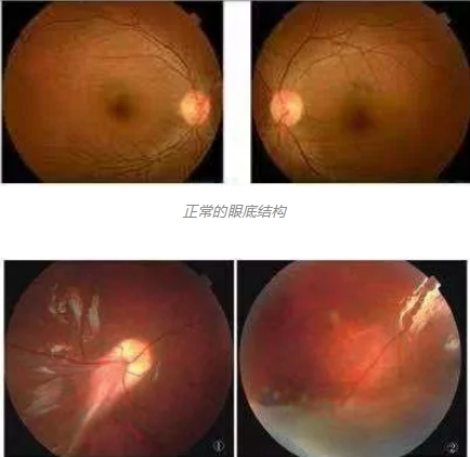 微信截图_20250715102500.png