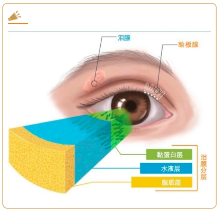 微信截图_20250715160634.png