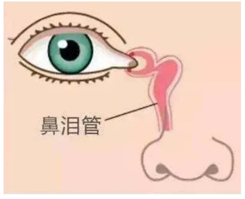 微信截图_20250715165425.png