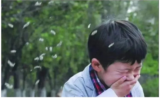 微信截图_20250715165431.png
