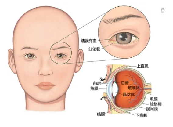 微信截图_20250715165438.png