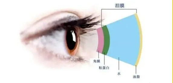 微信截图_20250715165854.png