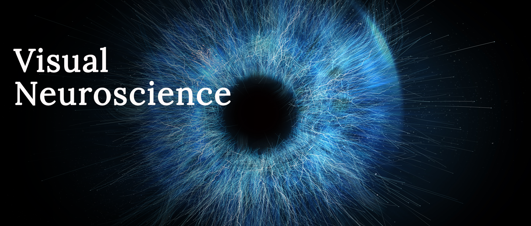 1758701487741755.png edcaf749b99ab72a11061ea2b9ca7e3d.png