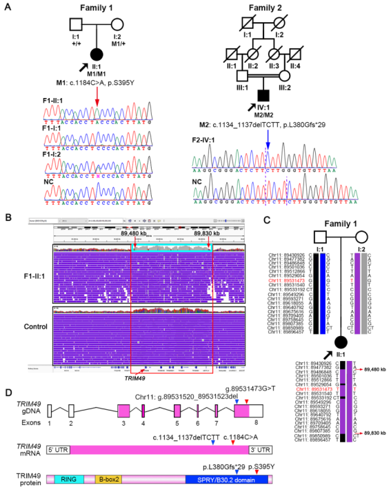 1759138439196023.png 1759138439196023.png