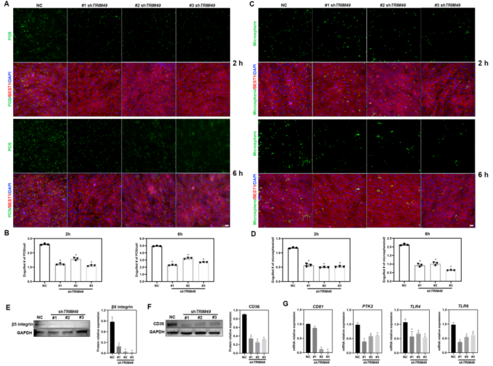 1759138506315740.png 1759138506315740.png