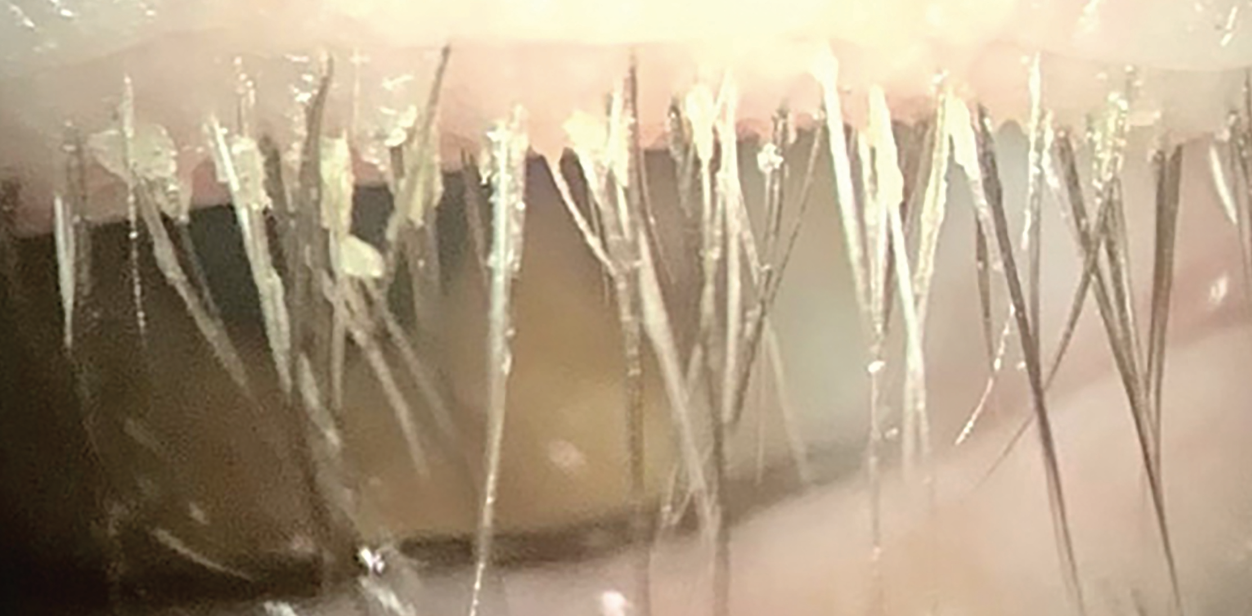 1759139189513361.png 1759139189513361.png