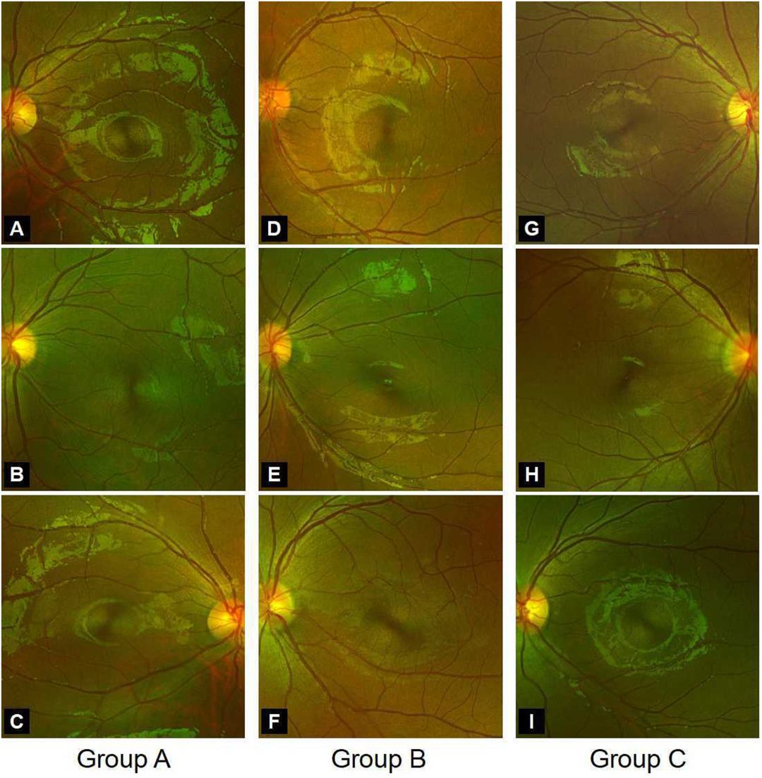 1759986698401590.png 图片10.png