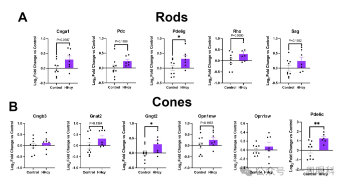 1760001143103828.png 1760001143103828.png