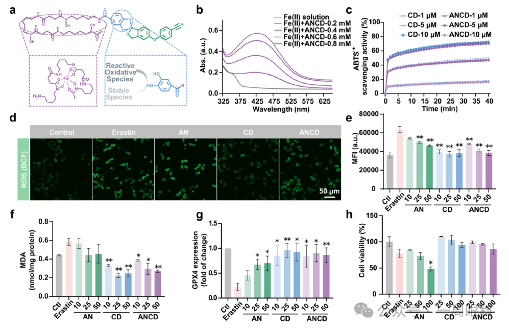 1760077023607396.png 1760077023607396.png