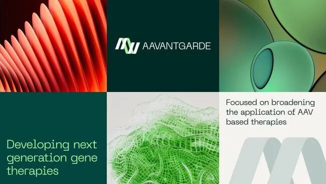 1760169890679507.png 1760169890679507.png