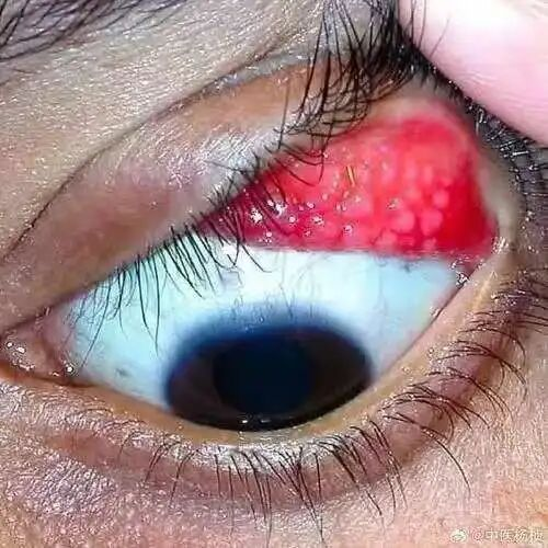 1760517788384696.png 1760517788384696.png