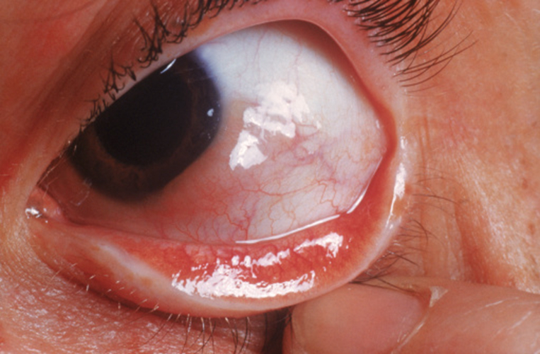 1760517794388564.png 1760517794388564.png