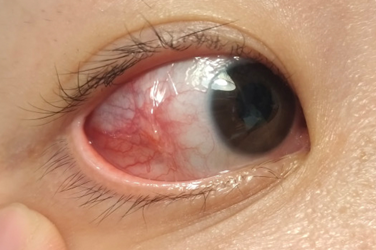 1760517801274989.png 1760517801274989.png