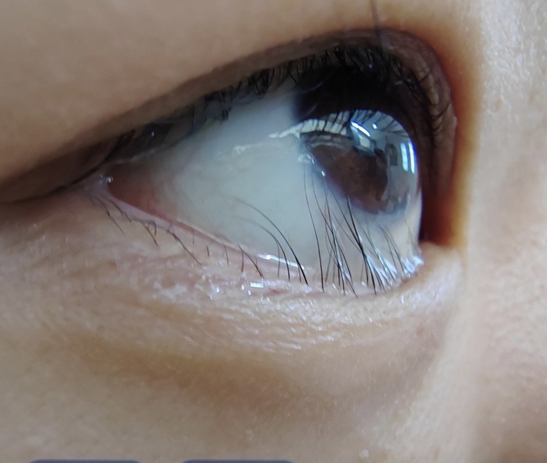 1760517807712116.png 1760517807712116.png