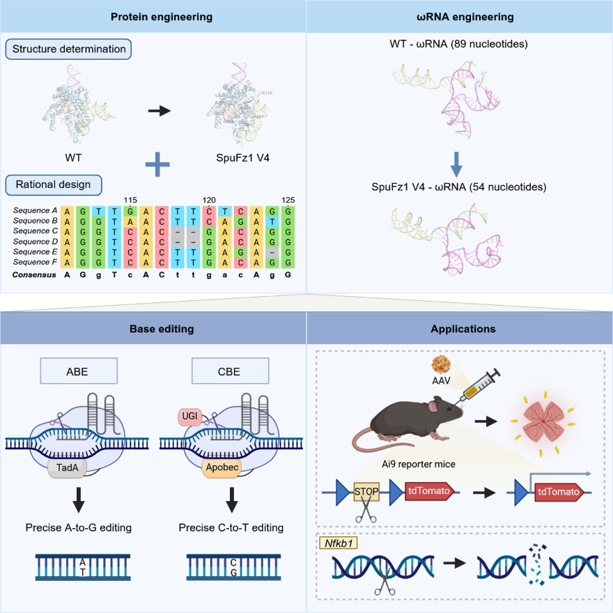 1760599412375189.png 1760599412375189.png