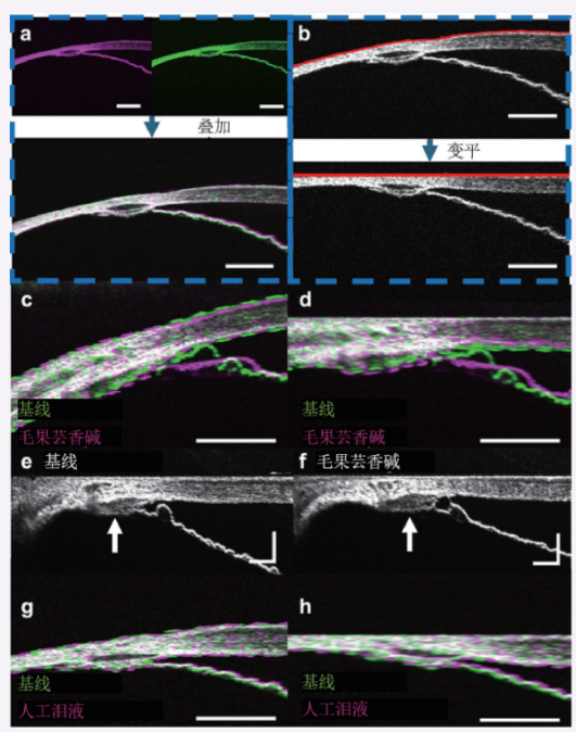 1760601396863429.png 1760601396863429.png