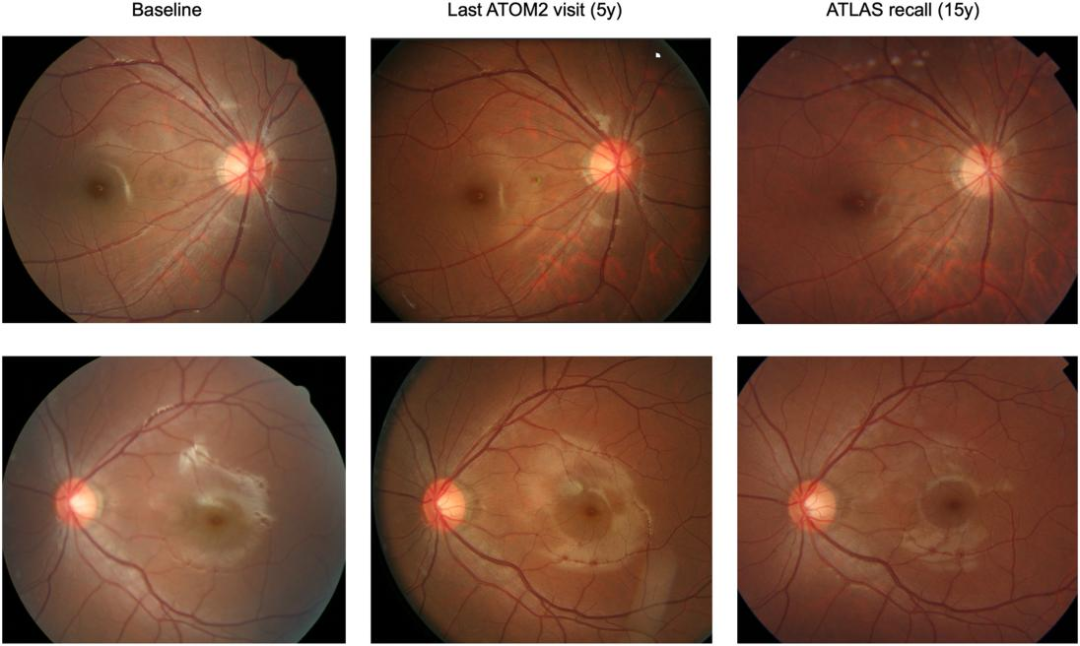 1760602690480444.png 1760602690480444.png