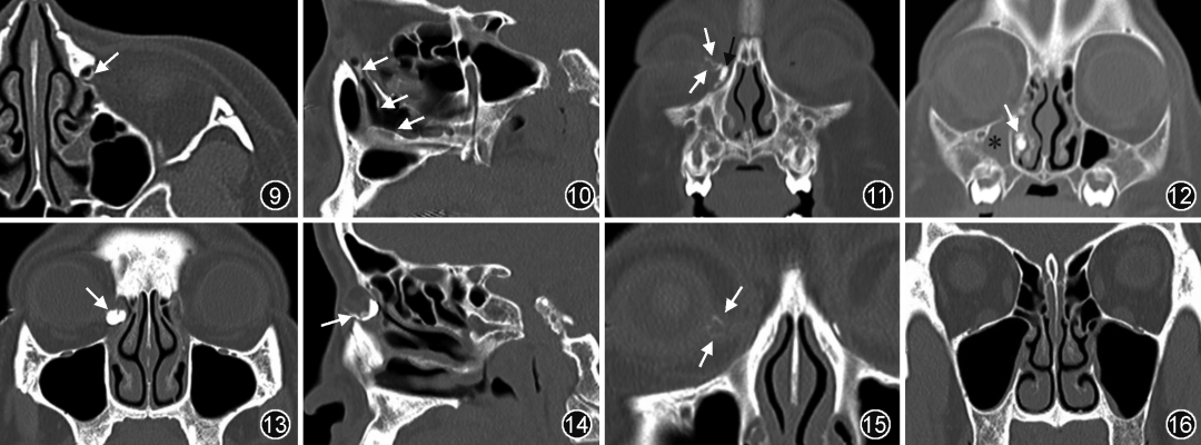 1760669788662521.png 1760669788662521.png