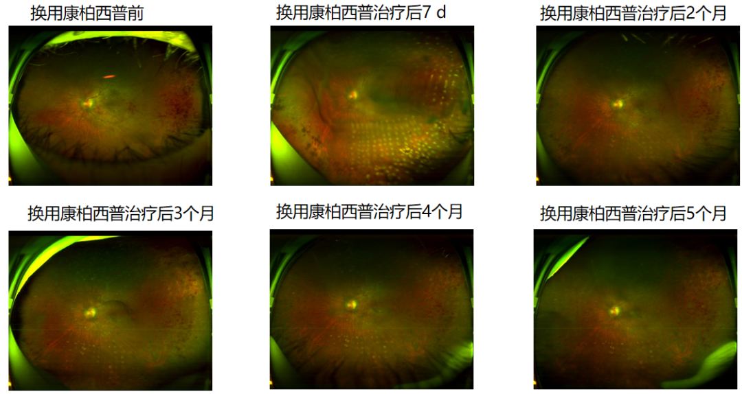 1761129065255873.png 5.png