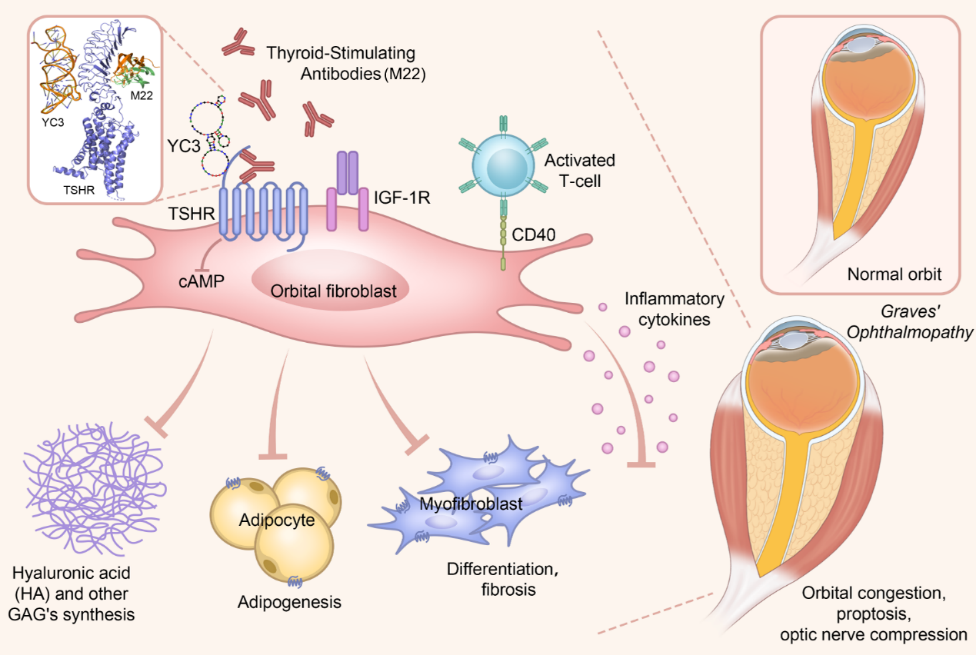 1761558782720950.png 1761558782720950.png