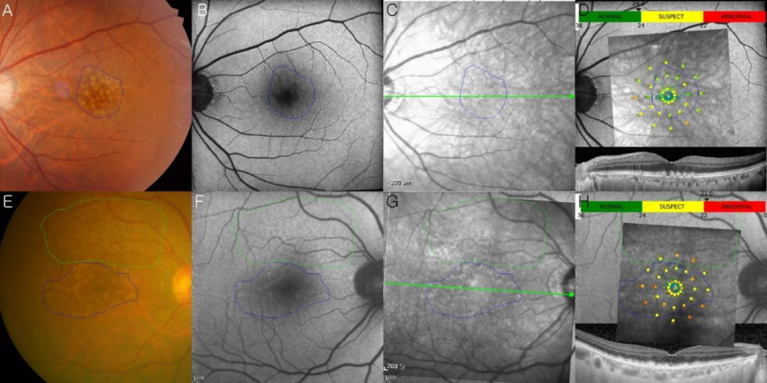 1761879812933163.png 1761879812933163.png