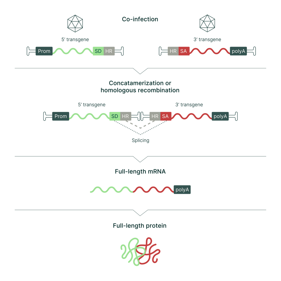 1762931212328833.png 1762931212328833.png